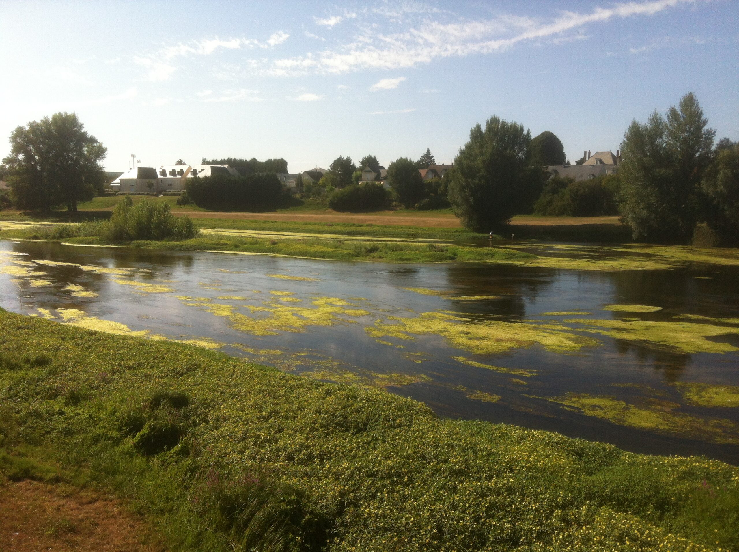 Gestion quantitative sur le bassin du Cher